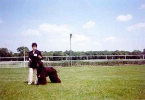 Yusuf Ben po súťaži