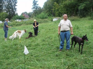 Pred štartom bolo na lúke veselo ...