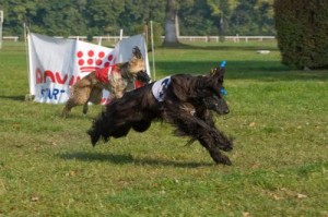 Yusuf Ben a Nicol Gandamak