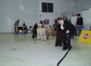 Záverečné poradie bez cedúľ