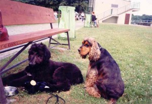 Odpočinok po výstave