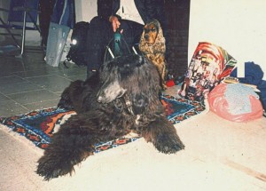 Yusuf Ben pred posudzovaním v Trenčíne